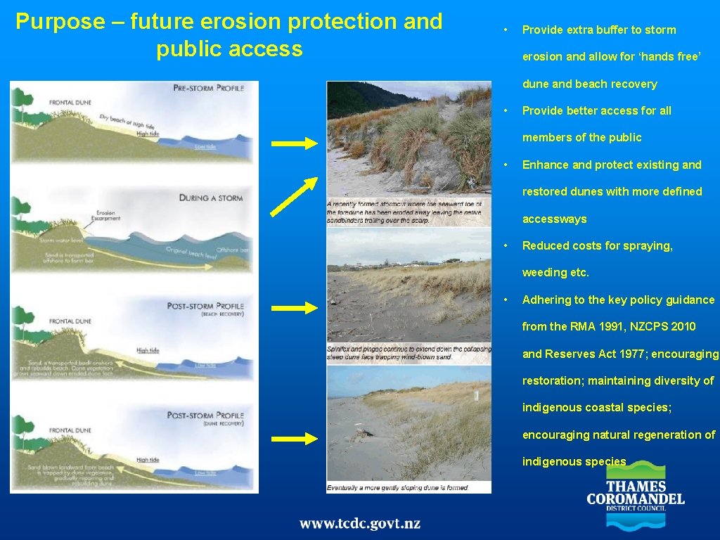 Purpose – future erosion protection and public access • Provide extra buffer to storm Purpose – future erosion protection and public access • Provide extra buffer to storm