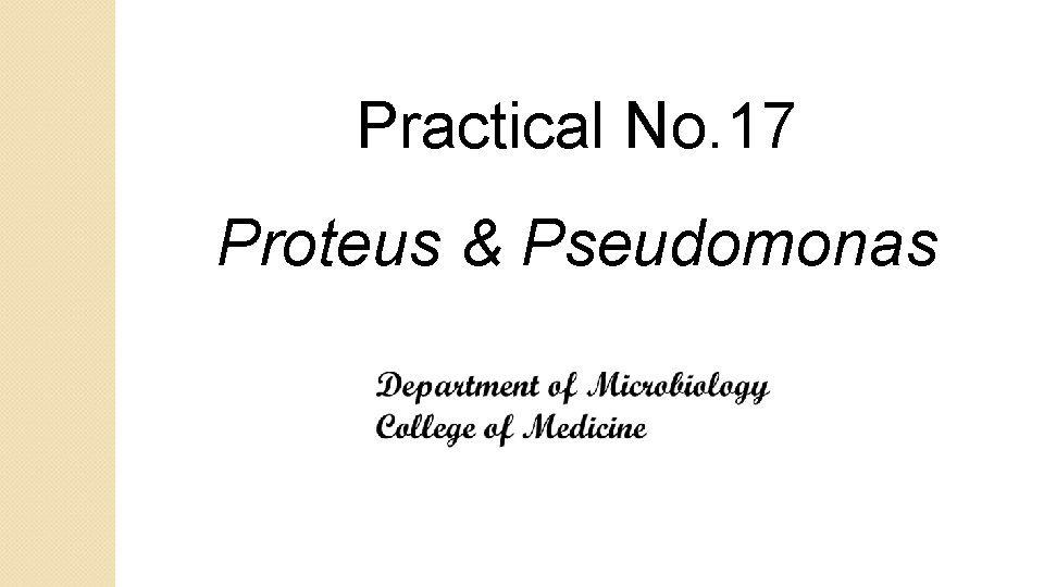 Practical No. 17 Proteus & Pseudomonas 