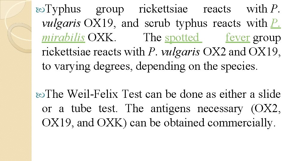  Typhus group rickettsiae reacts with P. vulgaris OX 19, and scrub typhus reacts