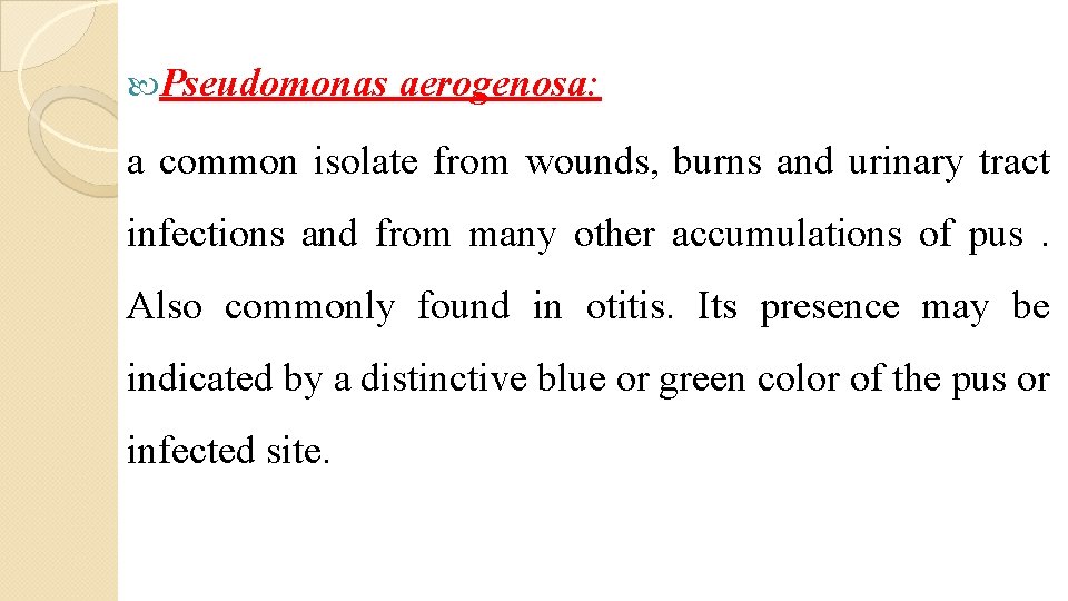  Pseudomonas aerogenosa: a common isolate from wounds, burns and urinary tract infections and
