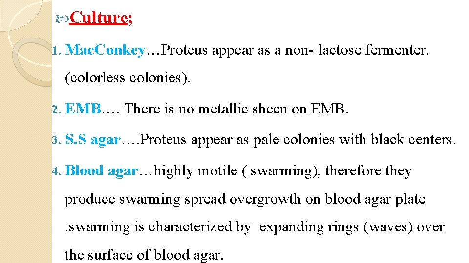  Culture; 1. Mac. Conkey…Proteus appear as a non- lactose fermenter. (colorless colonies). 2.