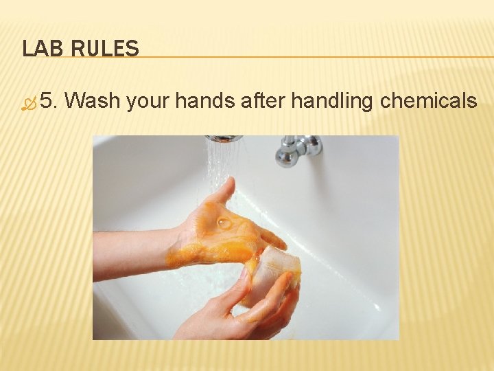 LAB RULES 5. Wash your hands after handling chemicals 