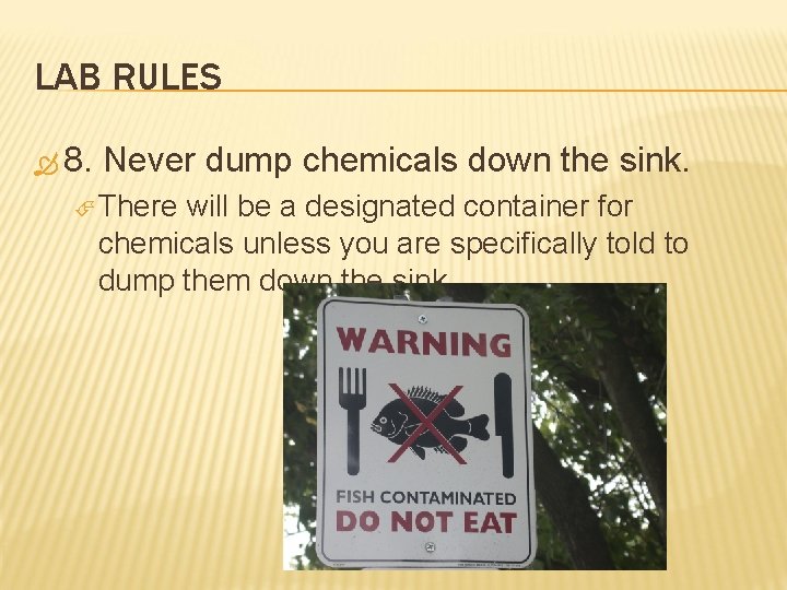 LAB RULES 8. Never dump chemicals down the sink. There will be a designated