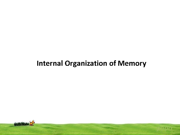 Internal Organization of Memory popo 