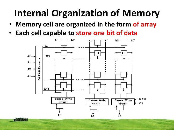 Internal Organization of Memory • Memory cell are organized in the form of array