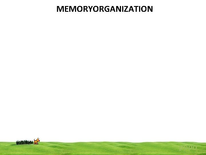 MEMORYORGANIZATION popo 