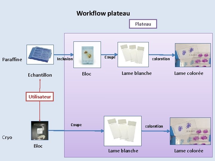Workflow plateau Paraffine Coupe Inclusion Bloc Echantillon coloration Lame blanche Lame colorée Utilisateur Coupe