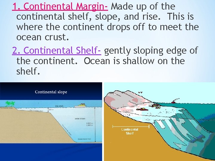 1. Continental Margin- Made up of the continental shelf, slope, and rise. This is