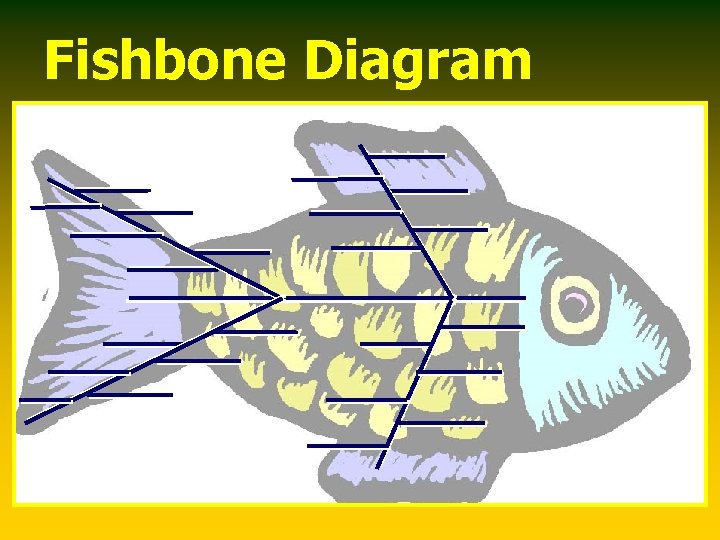 Fishbone Diagram 