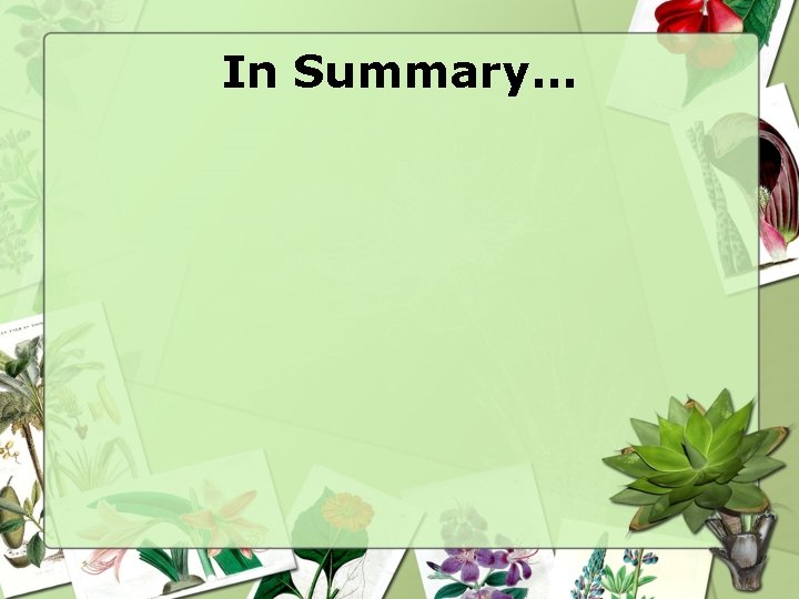 In Summary… 