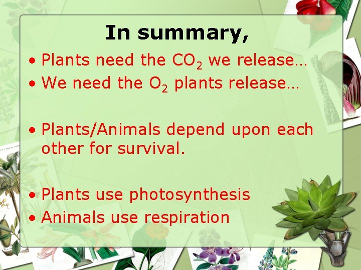 In summary, • Plants need the CO 2 we release… • We need the