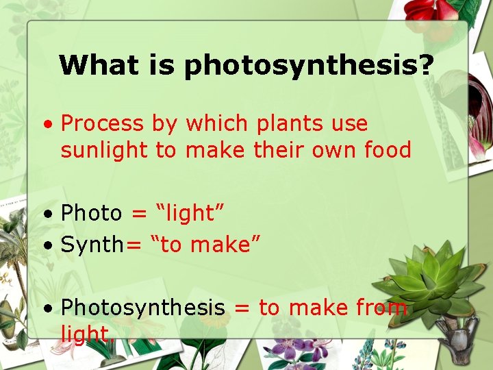 What is photosynthesis? • Process by which plants use sunlight to make their own