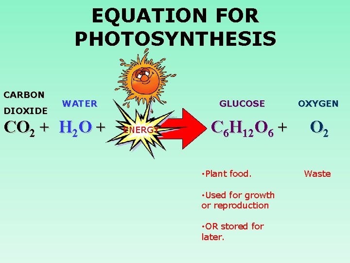 EQUATION FOR PHOTOSYNTHESIS CARBON DIOXIDE WATER CO 2 + H 2 O + GLUCOSE