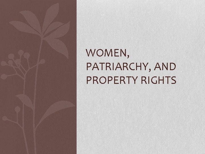 WOMEN, PATRIARCHY, AND PROPERTY RIGHTS 