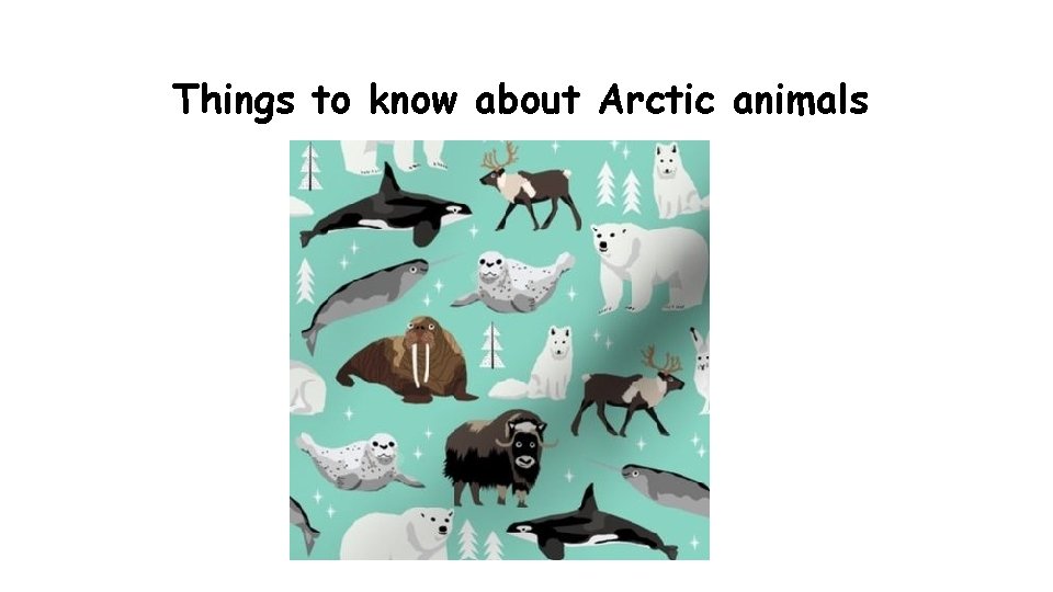 Things to know about Arctic animals 