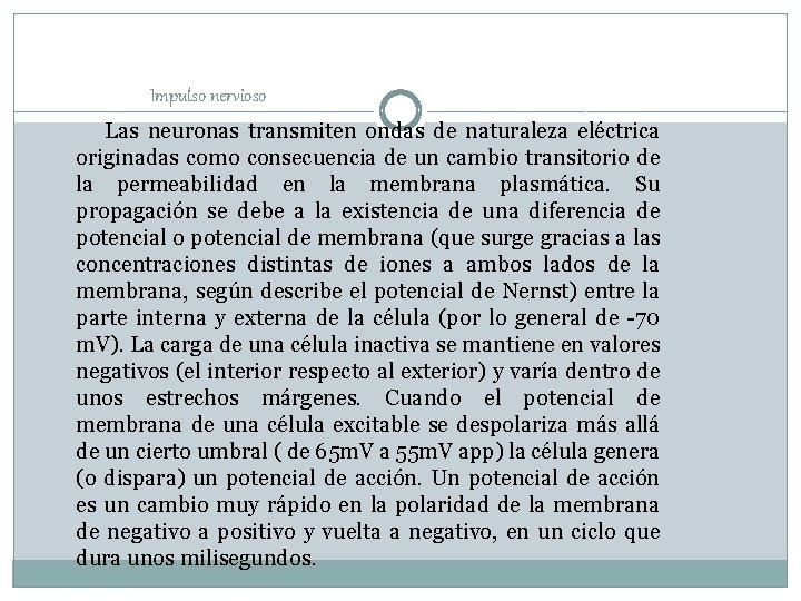 Impulso nervioso Las neuronas transmiten ondas de naturaleza eléctrica originadas como consecuencia de un Impulso nervioso Las neuronas transmiten ondas de naturaleza eléctrica originadas como consecuencia de un