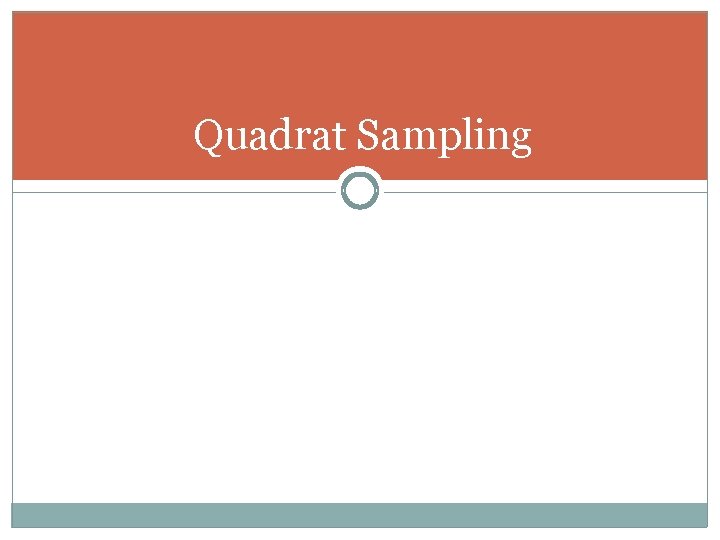 Quadrat Sampling 