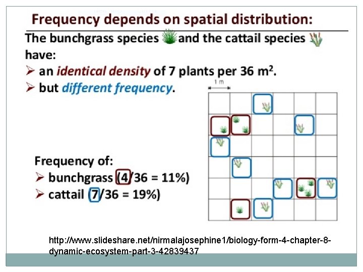 http: //www. slideshare. net/nirmalajosephine 1/biology-form-4 -chapter-8 dynamic-ecosystem-part-3 -42839437 