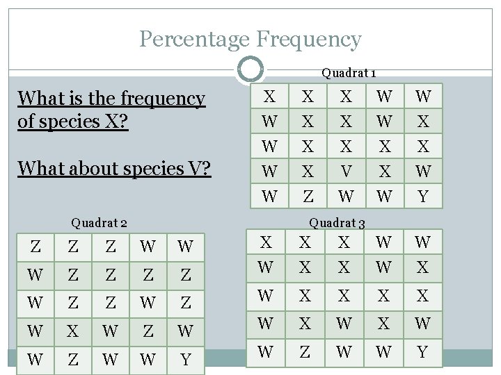 Percentage Frequency Quadrat 1 What is the frequency of species X? What about species