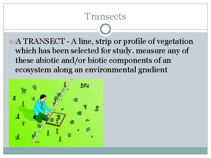 Transects A TRANSECT - A line, strip or profile of vegetation which has been