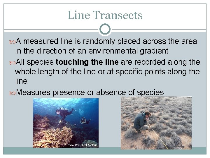 Line Transects A measured line is randomly placed across the area in the direction