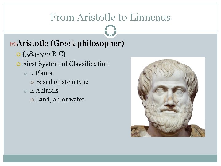 From Aristotle to Linneaus Aristotle (Greek philosopher) (384 -322 B. C) First System of