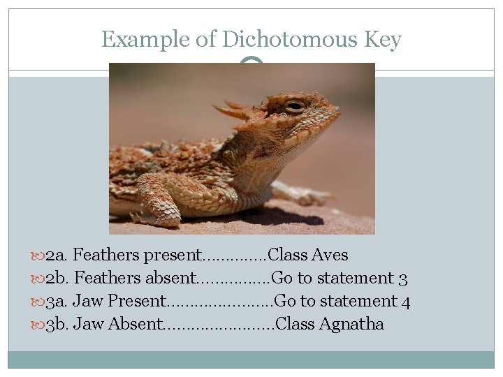 Example of Dichotomous Key 2 a. Feathers present…………. . Class Aves 2 b. Feathers