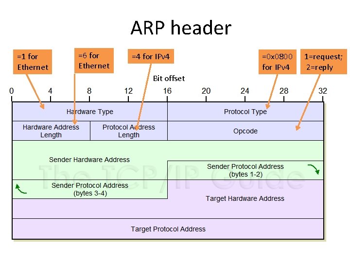 ARP header =1 for Ethernet =6 for Ethernet =4 for IPv 4 Bit offset