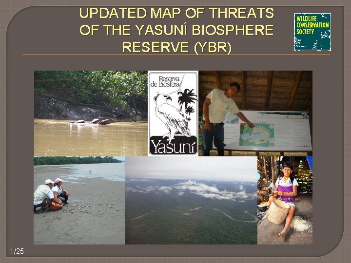 UPDATED MAP OF THREATS OF THE YASUNÍ BIOSPHERE RESERVE (YBR) 1/25 