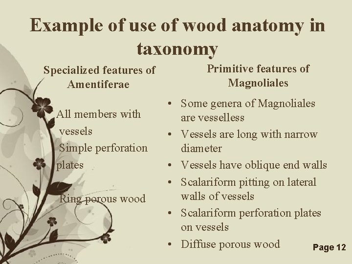 Example of use of wood anatomy in taxonomy Specialized features of Amentiferae Primitive features
