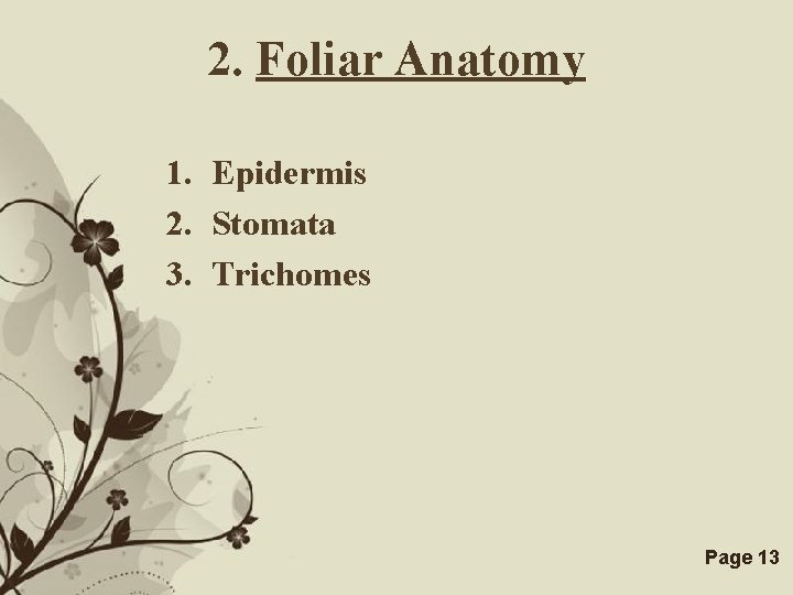 2. Foliar Anatomy 1. Epidermis 2. Stomata 3. Trichomes Free Powerpoint Templates Page 13