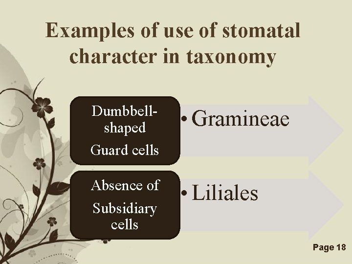 Examples of use of stomatal character in taxonomy Dumbbellshaped Guard cells • Gramineae Absence