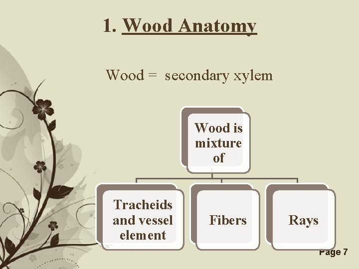 1. Wood Anatomy Wood = secondary xylem Wood is mixture of Tracheids and vessel