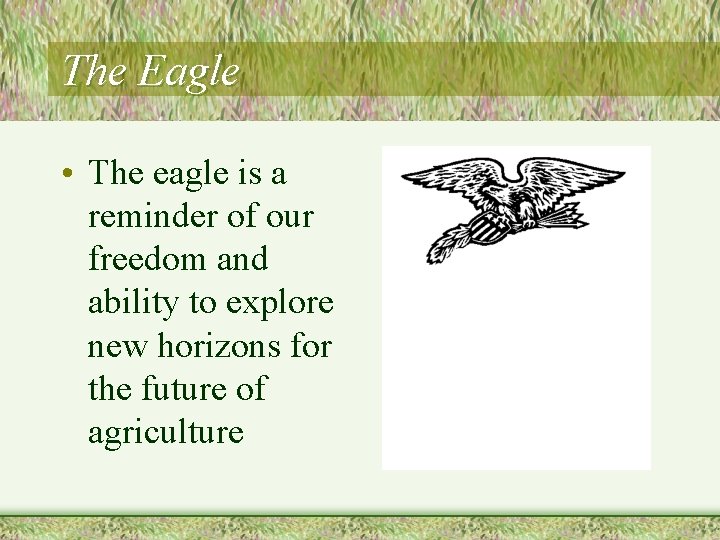 The Eagle • The eagle is a reminder of our freedom and ability to