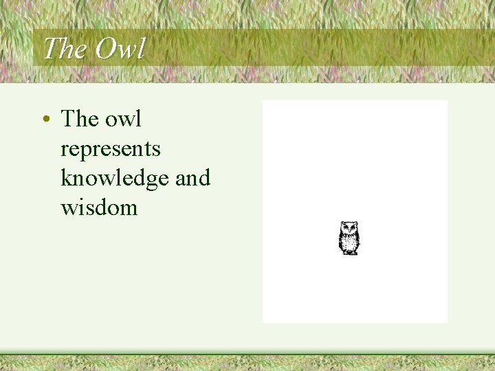 The Owl • The owl represents knowledge and wisdom 