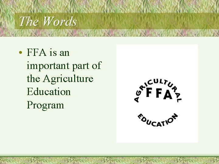 The Words • FFA is an important part of the Agriculture Education Program 