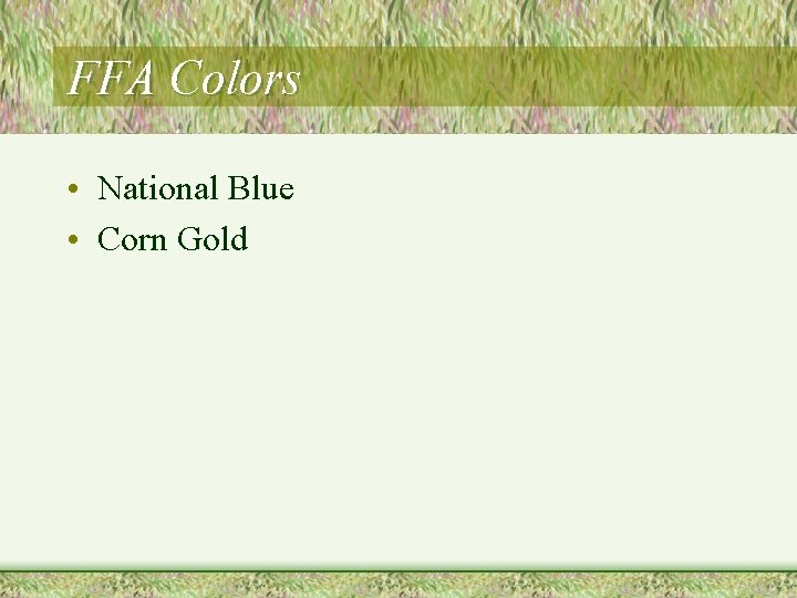 FFA Colors • National Blue • Corn Gold 