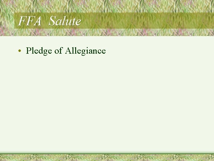 FFA Salute • Pledge of Allegiance 