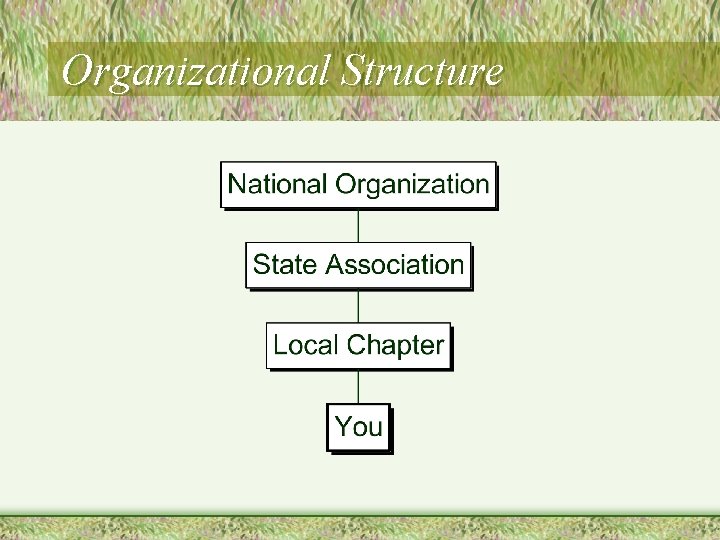 Organizational Structure 