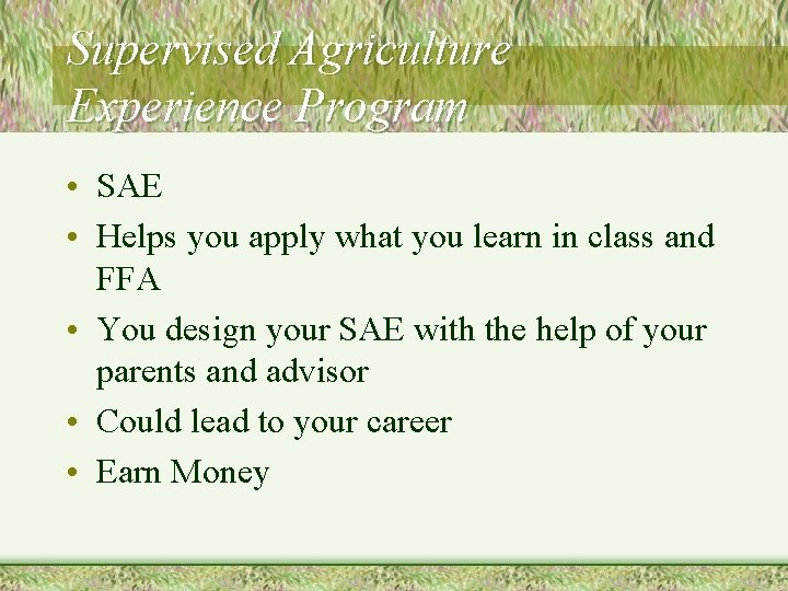 Supervised Agriculture Experience Program • SAE • Helps you apply what you learn in