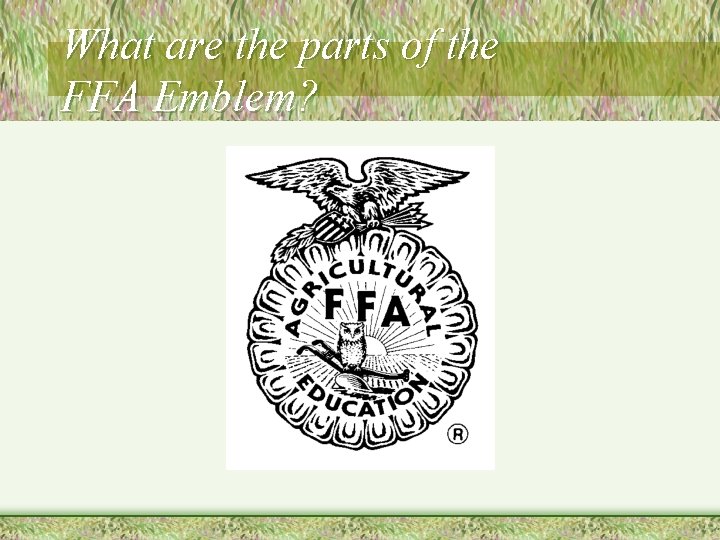 What are the parts of the FFA Emblem? 
