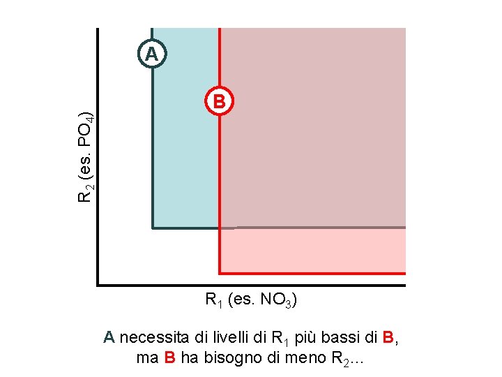 R 2 (es. PO 4) A B R 1 (es. NO 3) A necessita