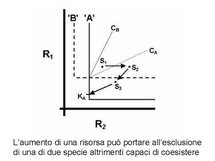 L’aumento di una risorsa può portare all’esclusione di una di due specie altrimenti capaci