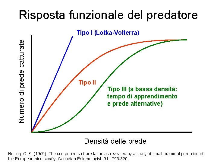 Risposta funzionale del predatore Numero di prede catturate Tipo I (Lotka-Volterra) Tipo III (a