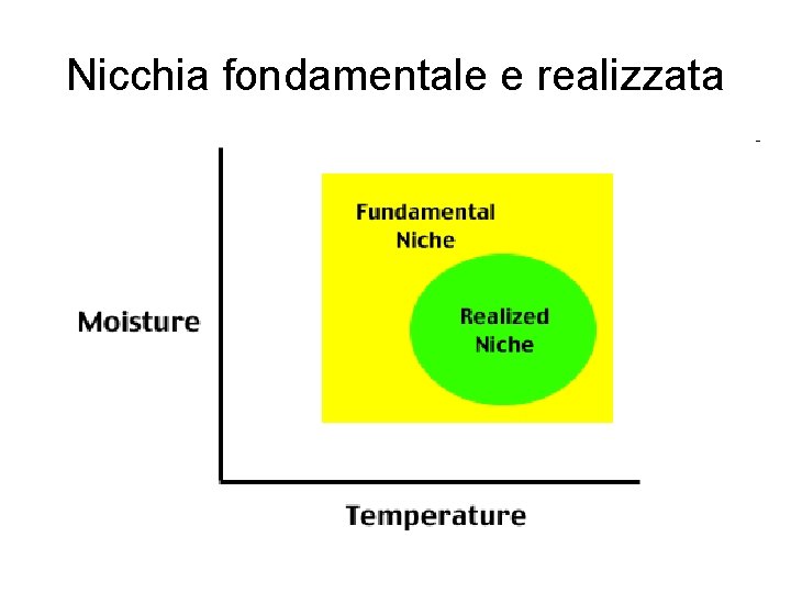 Nicchia fondamentale e realizzata 