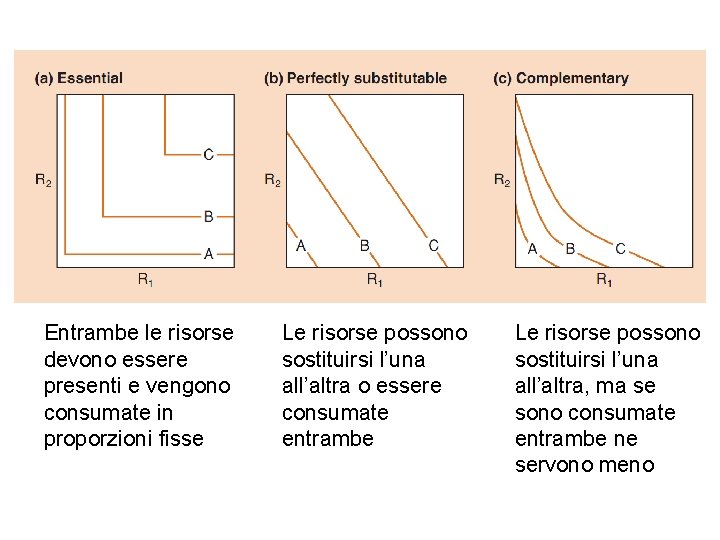 Entrambe le risorse devono essere presenti e vengono consumate in proporzioni fisse Le risorse