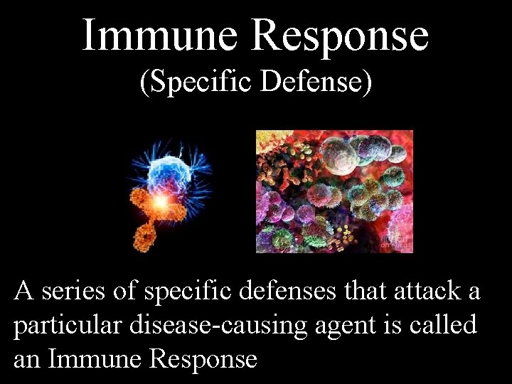 Immune Response (Specific Defense) A series of specific defenses that attack a particular disease-causing