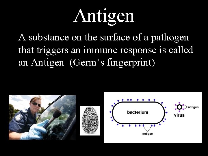 Antigen A substance on the surface of a pathogen that triggers an immune response