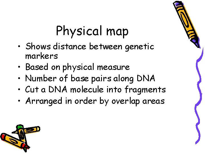 Physical map • Shows distance between genetic markers • Based on physical measure • Physical map • Shows distance between genetic markers • Based on physical measure •