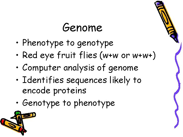 Genome • • Phenotype to genotype Red eye fruit flies (w+w or w+w+) Computer
